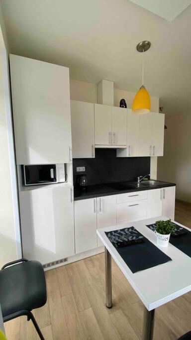 Appartement Jaukus Vieno Kambario Apartamentai Palangos Centre à Palanga Extérieur photo